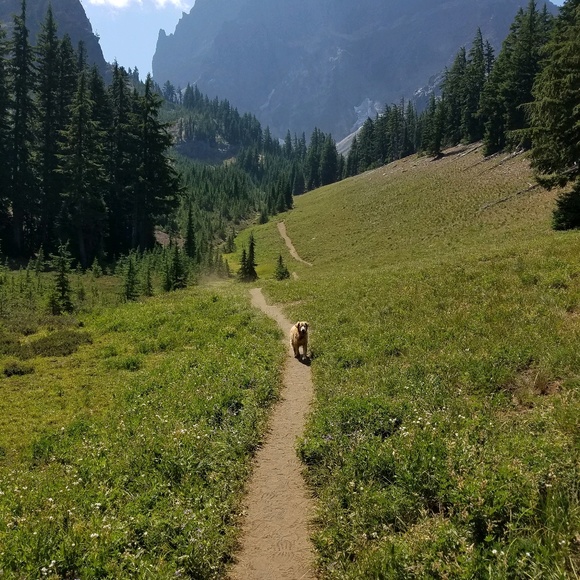 Meet your Posher, Greg - Picture 1 of 1